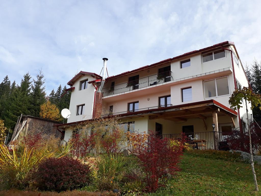 Pensiunea Lu' Movila Durău Kültér fotó